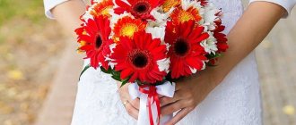 Bride&#39;s bouquet of chrysanthemums