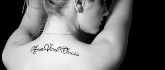 Фразы о любви на латыни для татуировок