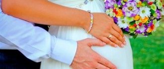 Роль свидетелей при регистрации брака, нужны ли они